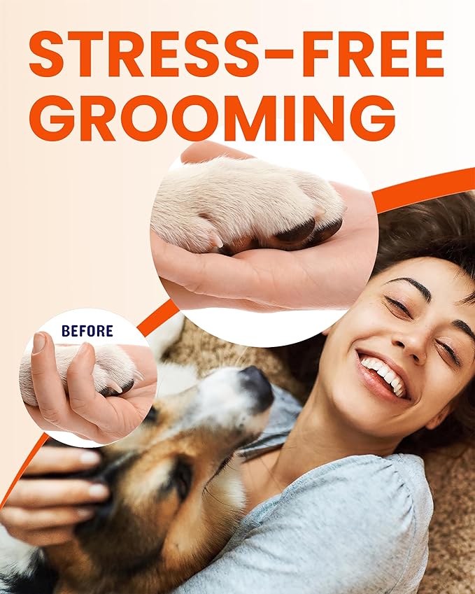 Diamond Dog Nail Grinder Attachment, Diamond Rotory Bit for Dogs&Pets Nail Care, Made for Dremel Grinder for Animals Nail Care & Home Grinder Tools, Samoyed, Smooth-grit