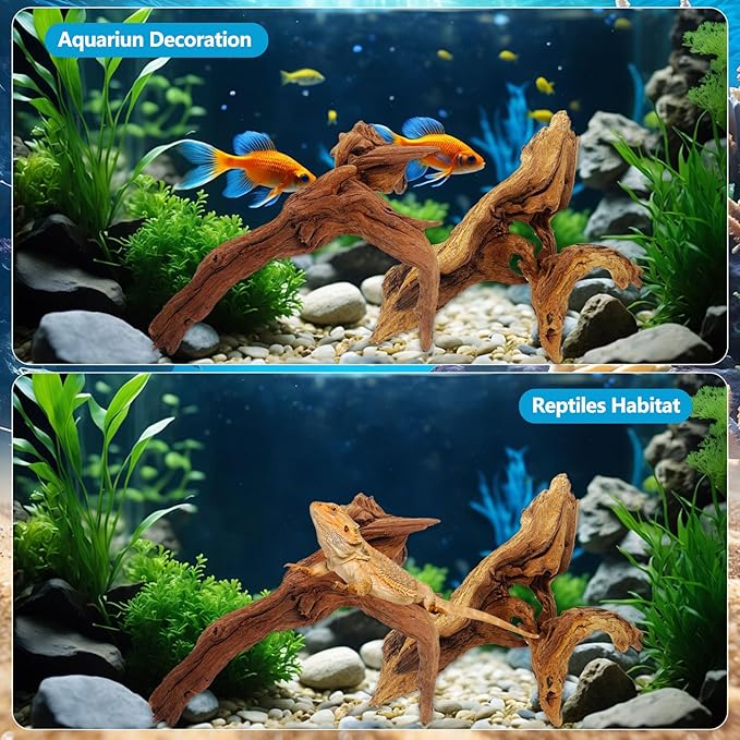 3 Pcs Natural Driftwood for Aquarium, Aquarium Driftwood Freshwater 8-10 Inch, Assorted Size Mopani Wood, Twisted Branches for Fishtank Accessories, Reptile Terrariums Decorations