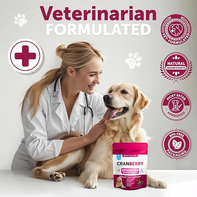 Dog UTI Treatment - Cranberry Supplement & Bladder Control for Dogs - Urinary Tract Infection Incontinence Pill, Bladder Stones - UTI Medicine Treats - 70 Soft Chews for Kidney Support with Fish Oil