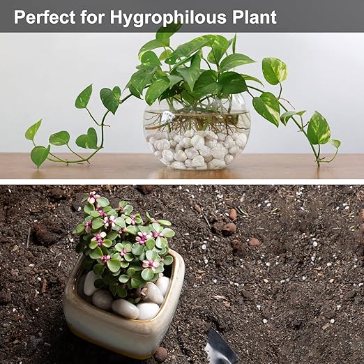 20lb White River Rock- High Polished Pebbles for Indoor Plants- Decorative Stones for Aquarium Fish Tank - White Rocks for Outdoor Garden Landscaping - 0.3"-0.8"