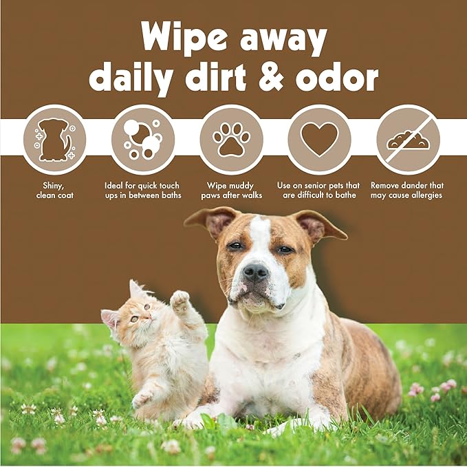 Petkin Pet Wipes for Dogs and Cats, Oatmeal, 100 Wipes (Large) for Dogs and Cats - Soothes Itchy Dry Skin and Cleans Ears, Face, Butt, Body and Eye Area - Idea for Home and Travel