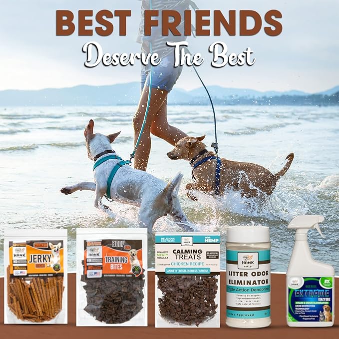 Hank & Harley Training Bites, Chicken 1lb - USA Lean Protein Soft Dog Treats with Pumpkin. 100% Natural & NO Flour, fillers or Added Sugar. Ideal for finicky Pets