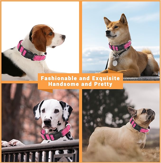 2 Pack Reflective Dog Collar with Safety Locking Buckle, Adjustable Soft Breathable Comfortable Nylon Pet Collar for Small, Medium and Large Dogs, Hotpink, L