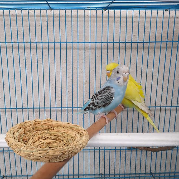 Patelai 4 Pcs Bird Nest Handmade Woven Flat Base Dove Bird House Breeding Nest Small Animal Cage Accessories for Pigeon Parrot Budgie Parakeet Cockatiel Hamster Gerbil Pig(3.54-4.72 Inch)