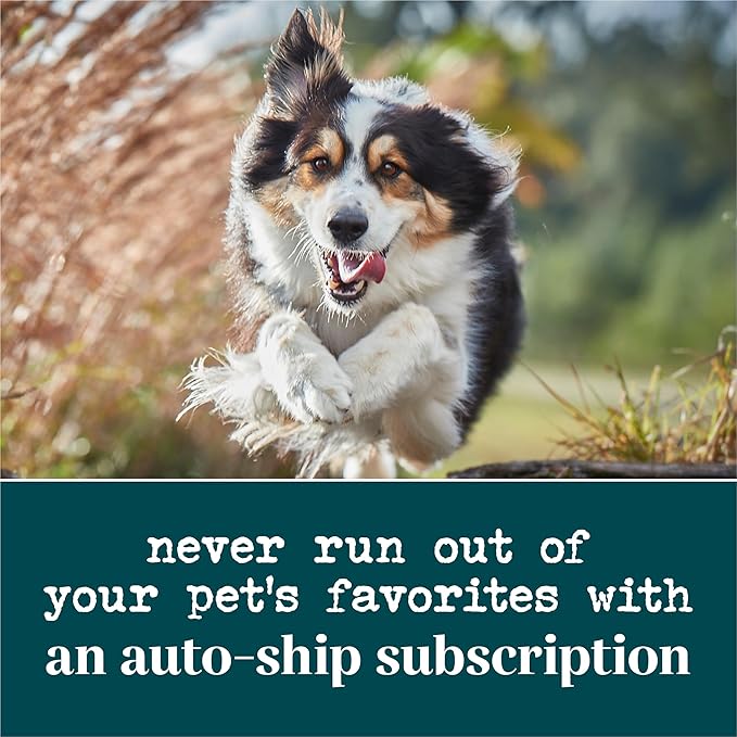 by Purina Skin and Coat Dog Supplements Soft Chews - 10.6 oz. Canister