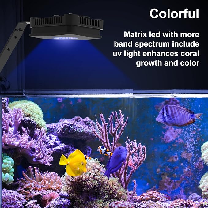 Lominie LED Aquarium Light Saltwater Aquarium Lamp 30W Full Spectrum with Remote Dimmable Nano Coral Reef Light for Fish Tank with Bracket