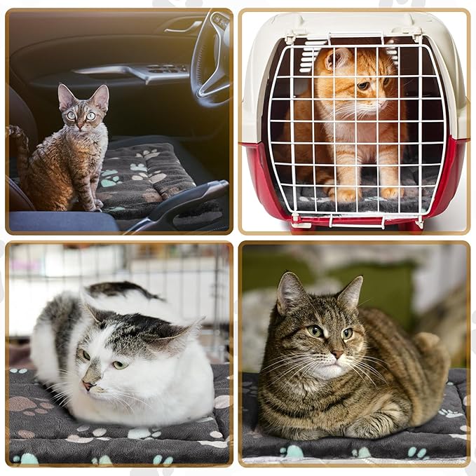 4 Pack Ultra Soft Dog Cat Bed Mat with Cute Prints Reversible Fleece Dog Crate Kennel Pad Cozy Washable Thickened Hamster Guinea Pig Pet Bed Mat for Small Animals(23 x 18 Inches,Black)