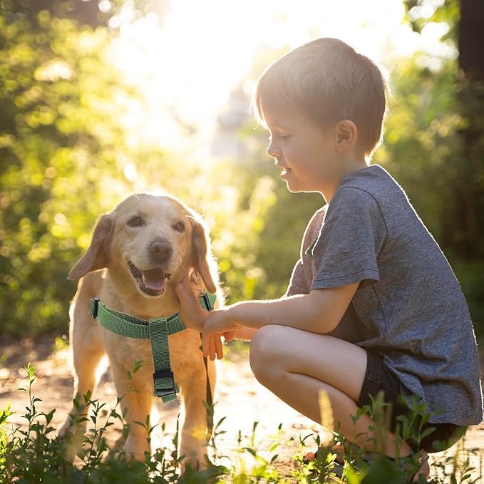 Dog Harness and Leash Set for Large Dogs Rayon Derived from Bamboo 90%, Polyester 10%, No Pull Dog Harness, Step-in Adjustable Dog Leash for Large Dogs-Green