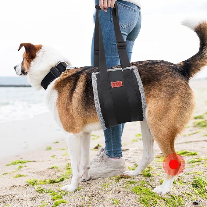 Adjustable Dog Lift Harness, Dog Sling for Large Dogs Hind Leg Support, Soft Lift Support Helps Senior, Injured, Disabled and After ACL Surgery Dogs-Black & Grey (X-Large)
