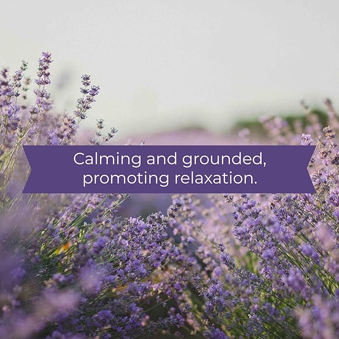 Skout's Honor Probiotic Pet Shampoo & Conditioner with Avocado Oil & Omega-3s, 97% Natural, Paraben & Sulfate-Free, Cruelty-Free, 16oz, Lavender, 2-Pack