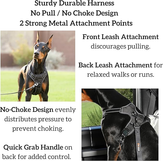 4Knines No Pull Dog Harness for XL Dogs Adjustable Reflective Harness with Front & Back Leash Clips Padded for Comfort Durable, Easy Control for Walks & Training (Black)