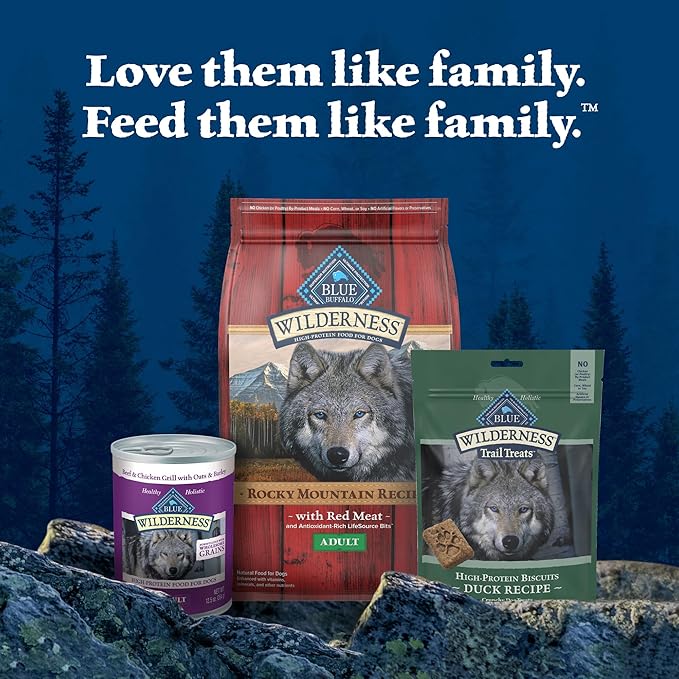 Blue Buffalo Wilderness Trail Treats High Protein Grain Free Dog Biscuits Crunchy Dog Treats, Duck Recipe, 10-oz Bag