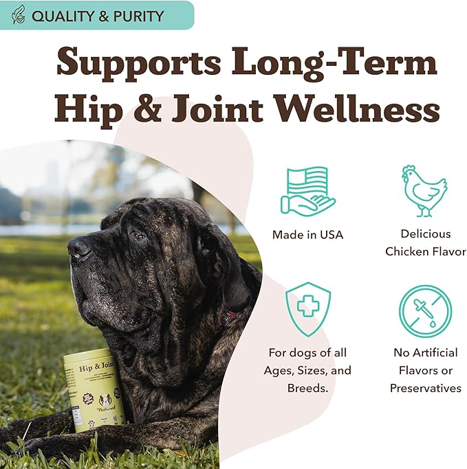 Natural Dog Company Hip & Joint Chews for Dogs with Glucosamine for Dogs + Chondroitin, MSM & Turmeric, Supports Mobility & Reduces Discomfort, Stiffness, Natural Pain Relief Joint Supplement. 180 Ct