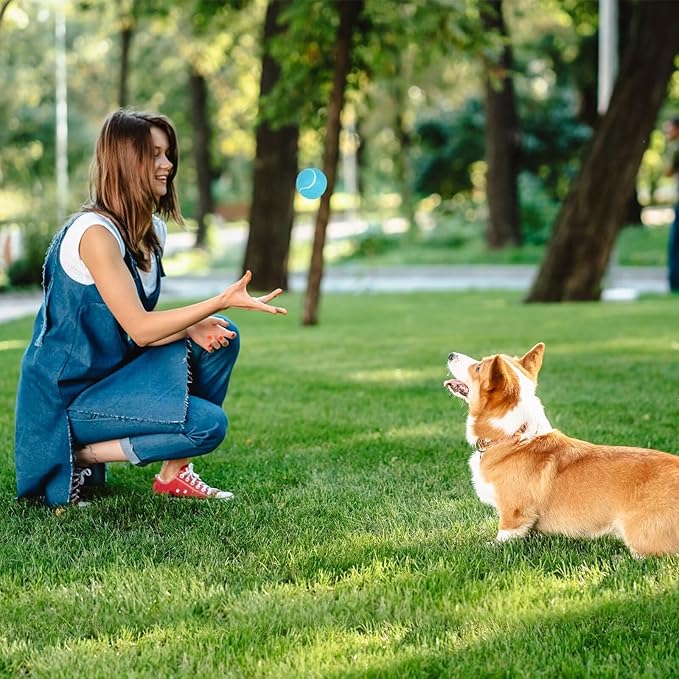 PrimePets Squeaky Balls for Dogs, 2.5 Inch Dog Squeaky Toys, Interactive Dog Toy Tennis Balls for Indoor Outdoor, Dog Squeaky Toys for Medium, Large Dogs