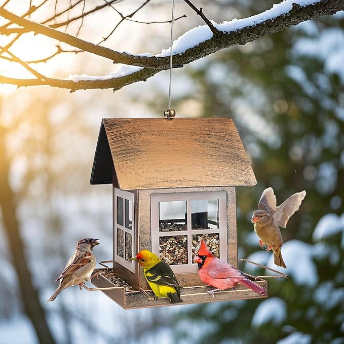 Bird Feeders, Heavy Duty Metal Bird Feeder for Outdoors Hanging, Weatherproof Large Capacity Wild Birdfeeder for Outside Garden Yard, Country House Shape