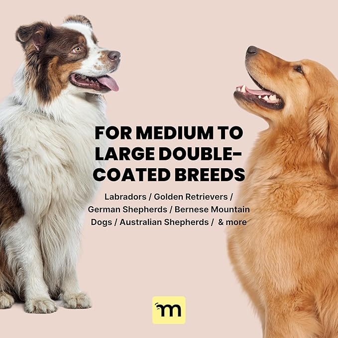 MalsiPree Dog Brush for Shedding - Large, Blue, 2-in-1 - Deshedding Dog Grooming Brush & Undercoat Rake with Dematting Comb for medium to Large Double Coated