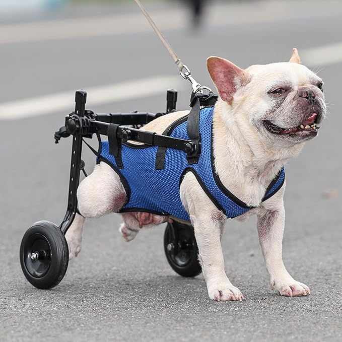 Dog Wheelchair for Back Legs Adjustable Dog Wheelchairs with 2 Wheels Pet Doggy Wheelchairs with Disabled Hind Legs Walking-Dog Leg Brace and Hip Support, Light Weight