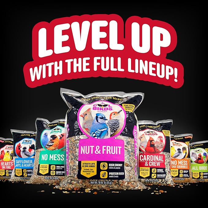 Nut & Fruit Wild Bird Seed 10 lb. Gourmet Bird Food with Sunflower Hearts, Peanuts, Tree Nuts & Real Fruit No Corn, Milo or Millet Bird Seed for Outside Feeders