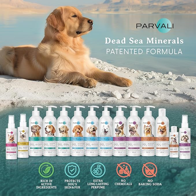2 in 1 Natural Dead Sea Dog Shampoo & Conditioner (250 ml, 8.45 fl oz). Unique Odor-Neutralizing Blend. Minerals Rich, Anti-Oxidative, Antiseptic Formula for Gentle, Easy Application. Enjoy!