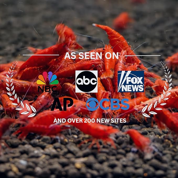Fire Red Premium High-Grade Neocaridina Freshwater Aquarium Shrimp, Live Arrival Guarantee (Pack 20)
