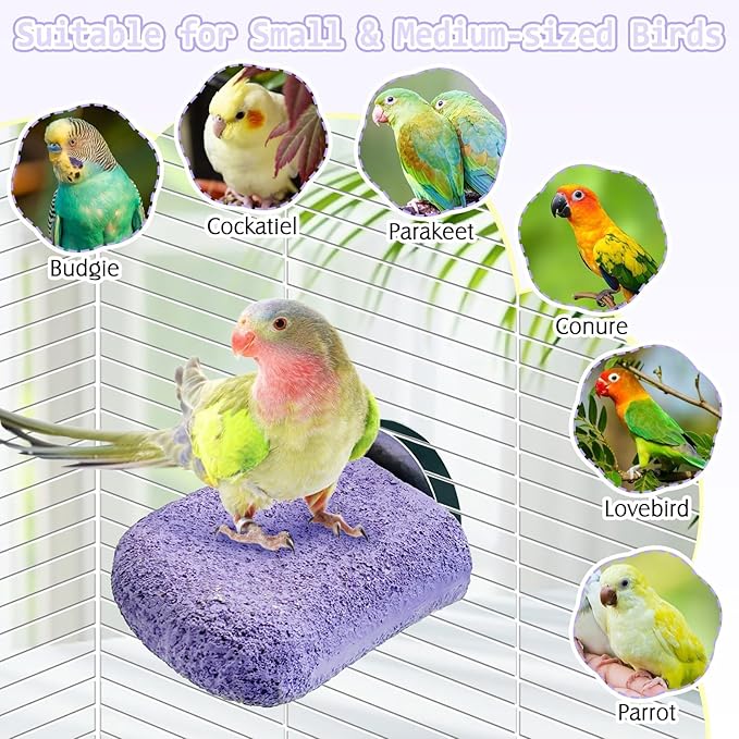 PINVNBY 5 Pack Bird Perch Resin Bird Beak Grinding Stone Parrot Cage Stand Platform Foot Claws Trimmer Chew Toy Cage Accessories for Budgie Cockatiel Conure Lovebird Finch (Purple)