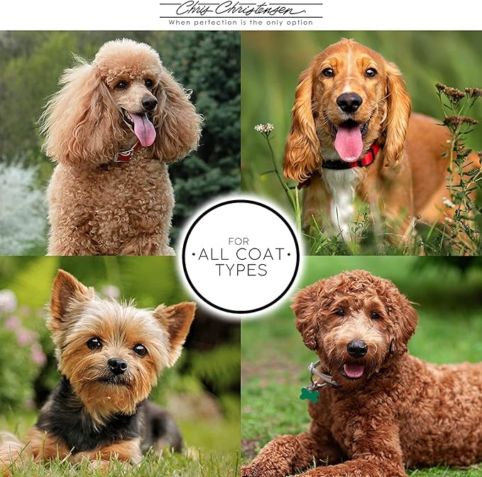 Chris Christensen 20 mm Pocket Oval Pin Dog Brush, Fusion Series, Groom Like a Professional, Brass Pins, 100% Static Free, Ground and Polished Tips, Made in Germany