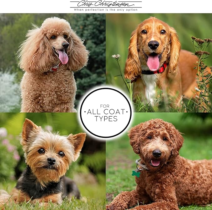 Chris Christensen Boar Dog Brush, Groom Like a Professional, Ionic Series, Brass Bristles, Positive Ionic Charge Pulls Debris and Dander, Large