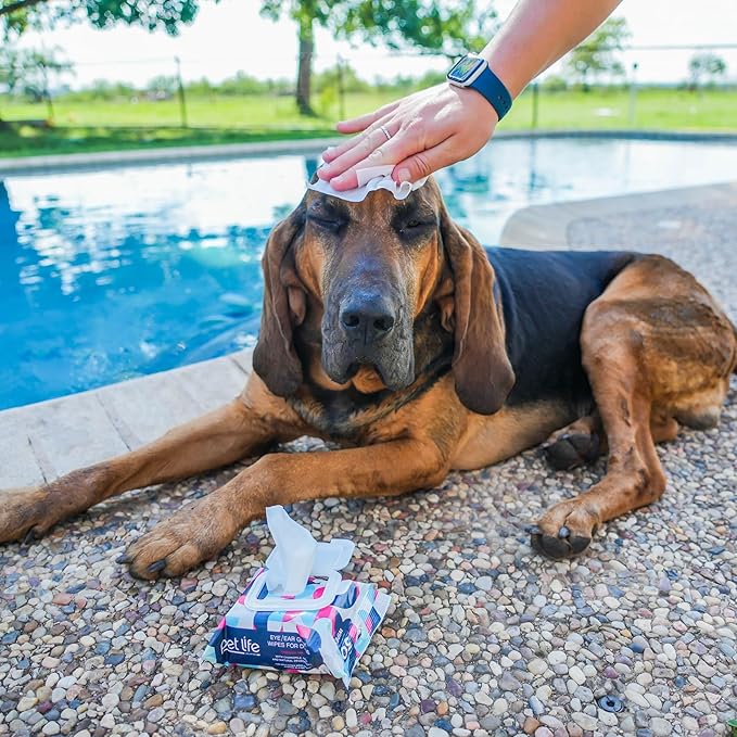 Pet Life Unlimited Dog Ear Wipes, Dog Eye Wipes - Plant-Based Dog Ear Cleaner Wipes with Moisturizing Aloe Leaf & Soothing Chamomile - Fragrance Free Eye and Ear Wipes for Dogs - 30 Count (Pack of 4)