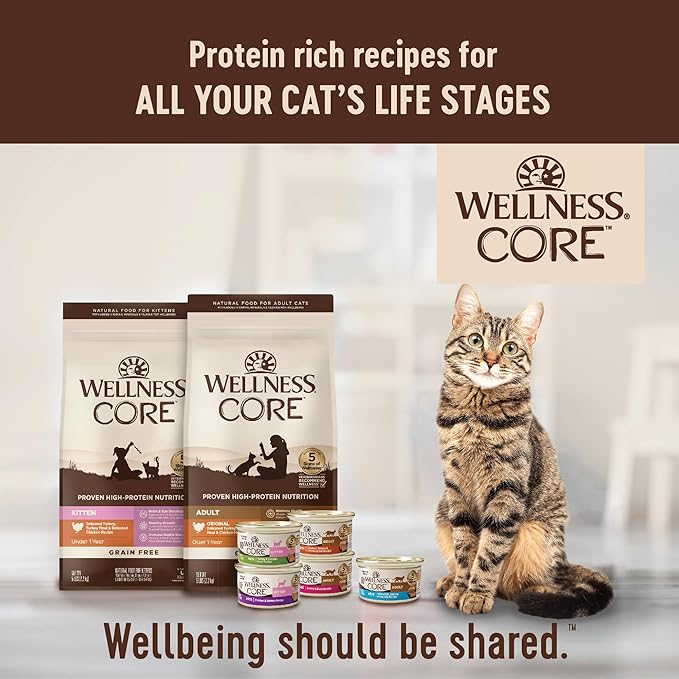 Wellness CORE Adult Dry Cat Food for Indoor & Outdoor Cats, Grain-Free, Natural, Turkey, Turkey Meal and Duck (11 Pound Bag)