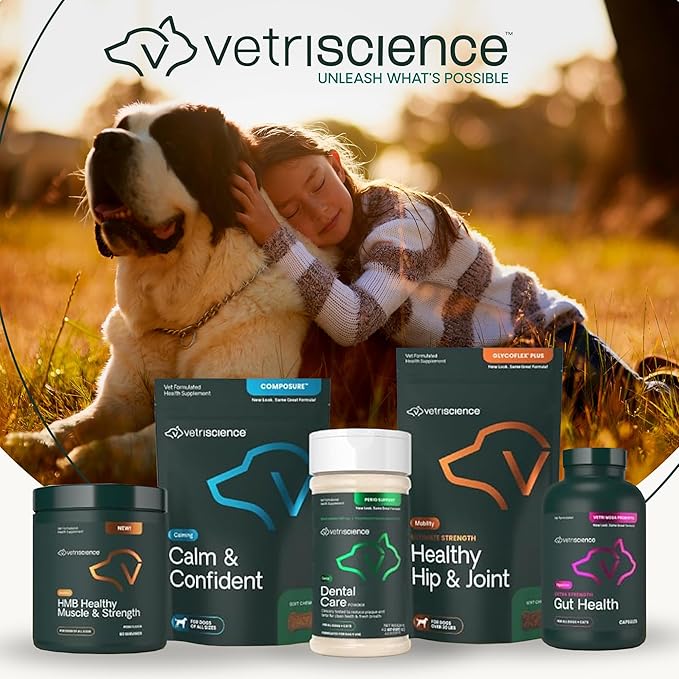 VetriScience Extra Strength Healthy Hip & Joint Chewable Tablets, GlycoFlex Glucosamine and Green-Lipped Mussel Joint Support Supplement for Dogs, Soothe Joint Discomfort, Chicken, 120 Count