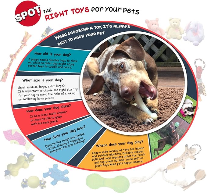 SPOT Skinneeez Rabbit 22 Inch Stuffing-Free Plush Dog Toy with Dual Squeakers – Long Interactive Chew Toy for Medium and Large Dogs – Mess-Free Play for Light & Moderate Chewers