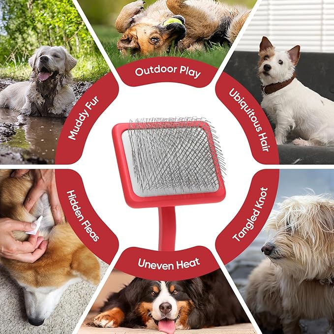 Dog Slicker Brush for Dogs - Doodle Brush for Poodles - Grooming & Slicker for Goldendoodles - Soft and Comfortable, Easy to Clean (Red)