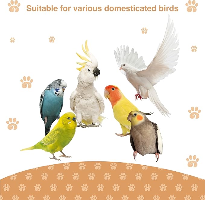 Bird Ladder Perch for Cage - Natural Wooden Bridge, Exercise Stands for Parrot Climbing - Pet Training Ladders - Hanging Playground -Toys for Parakeet, Cockatiel, Conures, Lovebirds, Budgie