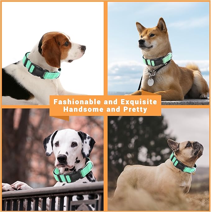 2 Pack Reflective Dog Collar with Safety Locking Buckle, Adjustable Soft Breathable Comfortable Nylon Pet Collar for Small, Medium and Large Dogs, Turquoise, XL