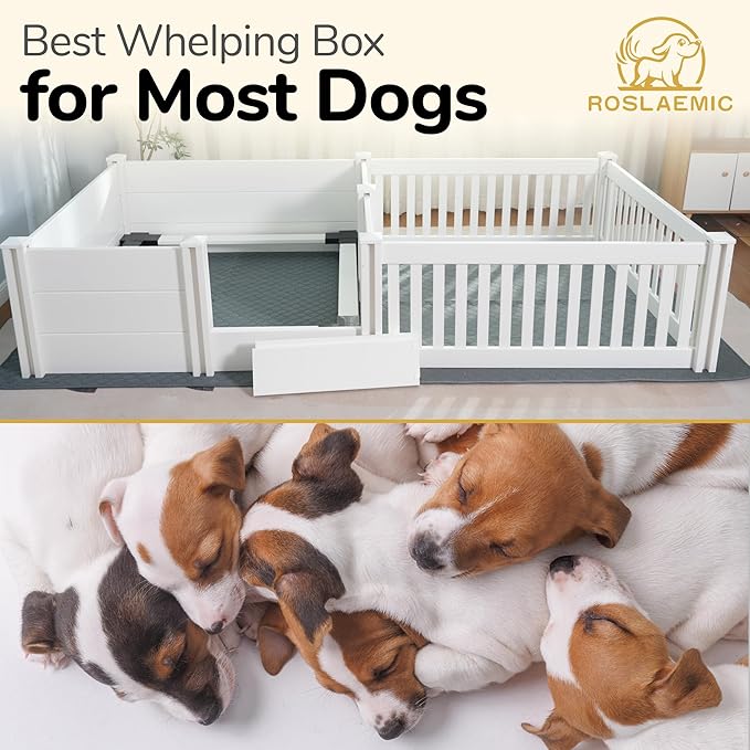 2 Room Whelping Box for Dogs and Puppies with Rails, 96" L x 48" W x 19" H, Suitable for Large/Extra Large Dogs, White