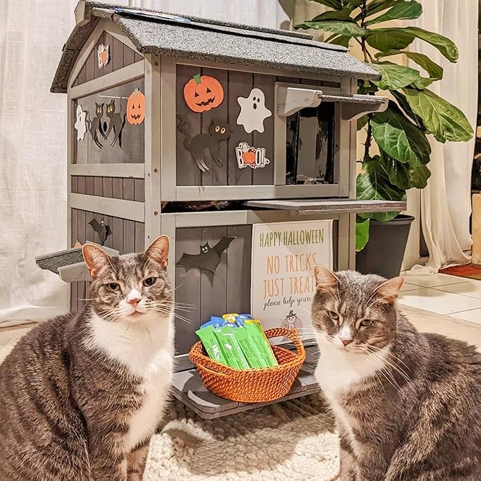 Aivituvin Outdoor Cat Houseï¼_wo-Story Feral Cat Shelterï¼_eatherproof Cat Enclosure for Winter with Escape Doors