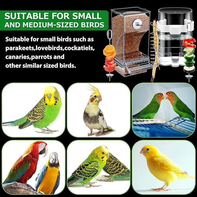 7 Pcs No Mess Bird Feeders Set Automatic Clear Parrot Feeder and Watered Dispenser Cage Accessories Stainless Steel Parrot Fruit Vegetable Skewer Foraging for Lovebirds Budgies Canary Finch