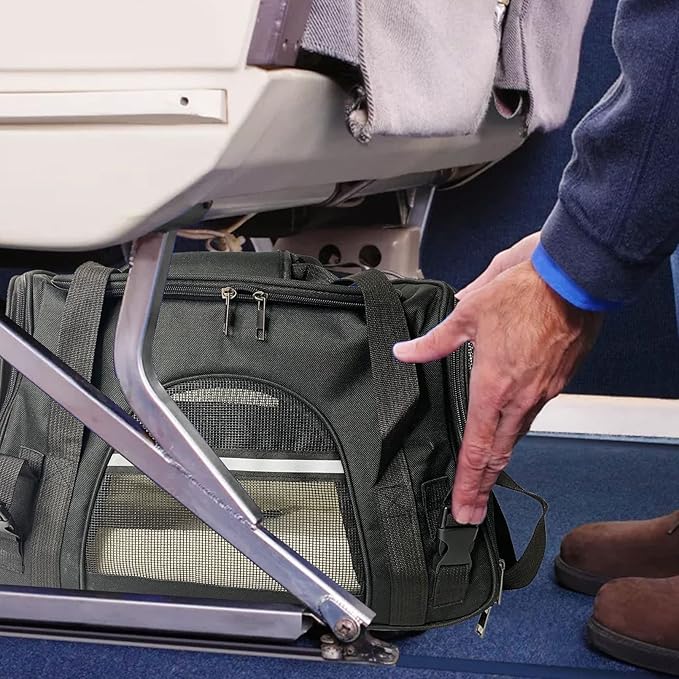 kathson Rabbit Travel Carrier Bag Airline Approved Pet Pocket Breathable Mesh Window Portable Hand Bag with Locking Safety Zippers for Small Dogs Cats Bunnies and Small Animals (Black)