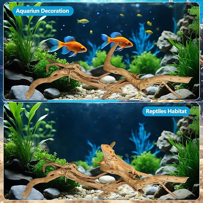 3 Pcs Natural Spiderwood for Aquarium, Aquarium Driftwood Freshwater 10-12 Inch, Assorted Size Spider Wood, Twisted Branches for Fishtank Accessories, Reptile Terrariums Decorations