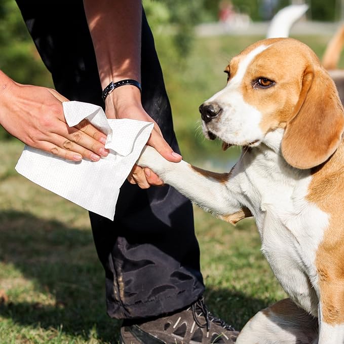 PrimePets Dog Wipes for Paws and Butt, 100 Count, 8" x 8" Pet Wipes for Dogs Cats Cleaning Deodorizing, Lavender Scented, Extra Thick Puppy Wipes for Sensitive Skin, Grooming for Bums, Face and Body