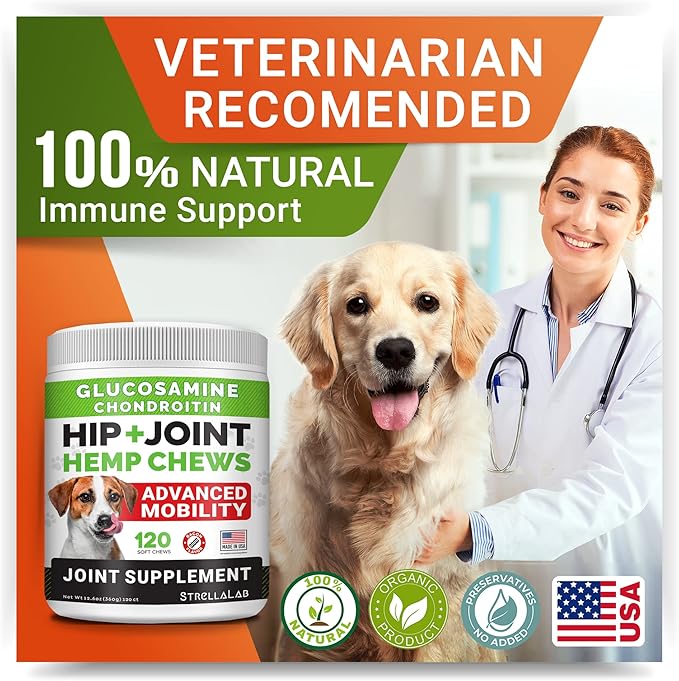 Large Breed Hemp + Glucosamine Dog Joint Supplement - Hemp Chews for Dogs Hip Joint Pain Relief - Omega 3, Chondroitin, MSM - Advanced Mobility Hemp Oil Treats for Large Dogs - Made in USA - 240 Ct