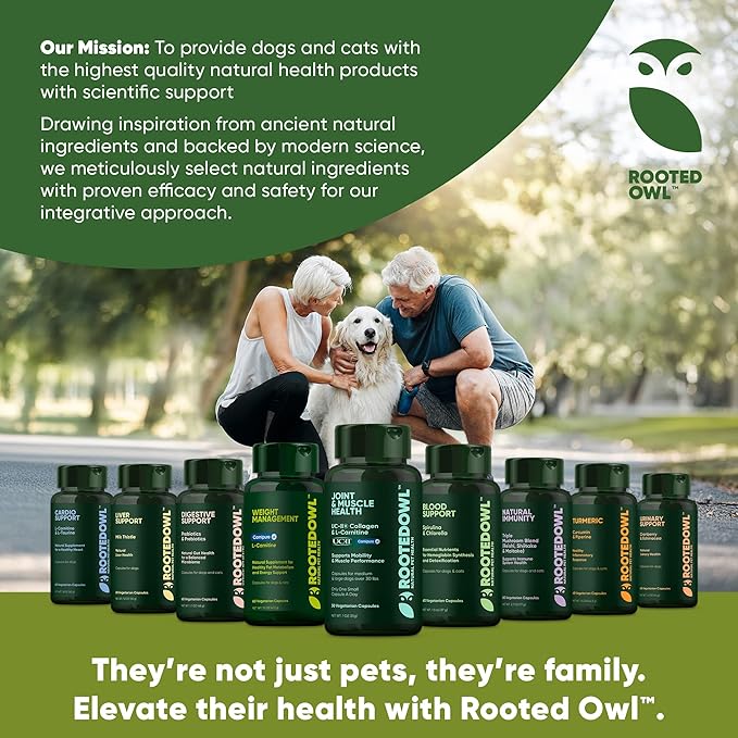 Rooted Owl Blood Support - Immunity, Recovery and Iron Supplement for Dogs & Cats - Anemia Support with Spirulina and Chlorella - 60/ct Vegan Capsules