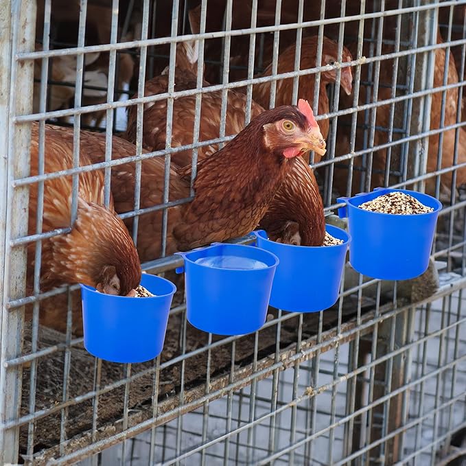 40 Pcs Cage Cups Birds Feeders Bird Water Dispenser Hanging Quail Waterer Plastic Chicken Feeding Watering Dish for Small Coop Parrot Parakeet PET Poultry Pigeon Gamefowl Food Seed Bowl Supplies(Blue)