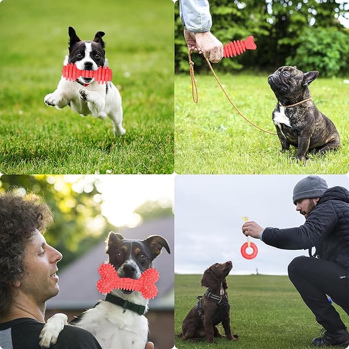 Puppy Toys, 6 Pack Dog Chew Toys for Puppy, Cute Red Small Dog Toys, Teething Toys for Puppies, Soft Durable Interactive Chew Toy for Small Dogs