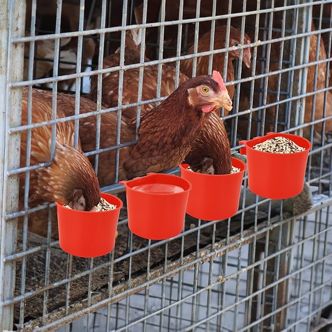 40 Pcs Cage Cups Birds Feeders Bird Water Dispenser Hanging Quail Waterer Plastic Chicken Feeding Watering Dish for Small Coop Parrot Parakeet PET Poultry Pigeon Gamefowl Food Seed Bowl Supplies(Red)