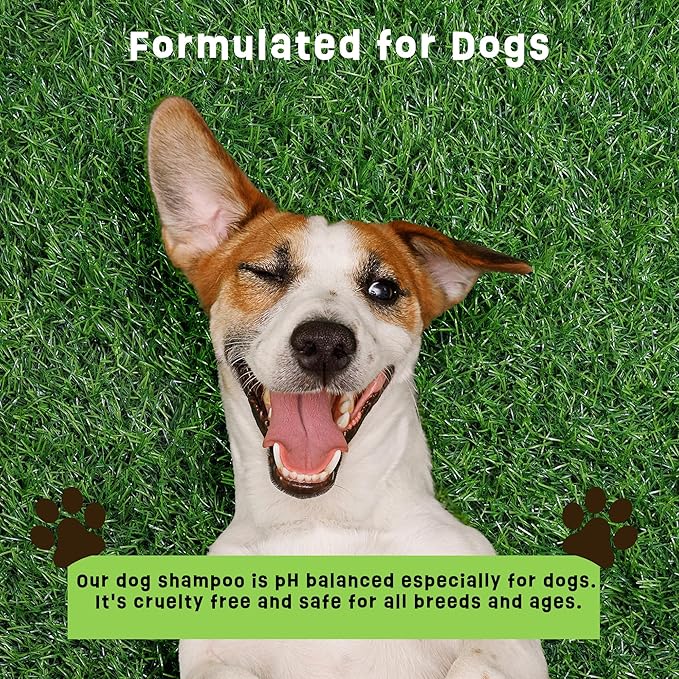 Dogs Plus Vitamin C Dog Shampoo | All Natural Dermatitis, Demodex Mange, & Hot Spot Treatment for Dogs | Fast and Effective Itch Relief (6 oz)