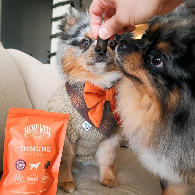 Hemp Well Immune - Allergy Support Dog Soft Chews - Long Lasting Relief for Seasonal Dog Allergies and Itching - Supports Healthy Skin and Immune System - Gut Health - Organic (30)