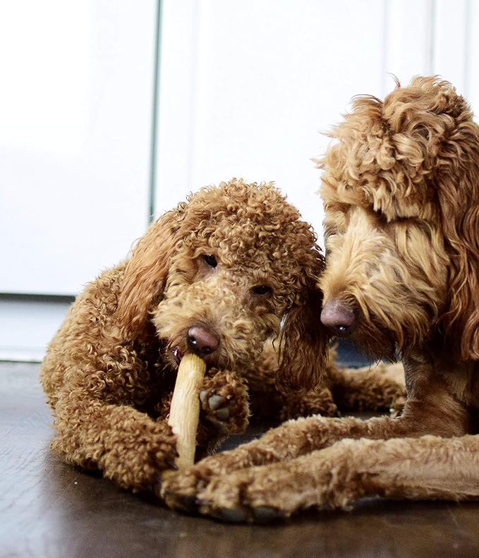 Petstages Dogwood Puppy Durable Dog Chew Toys, Real Wood & Teething Bone, 2-Pack, Small