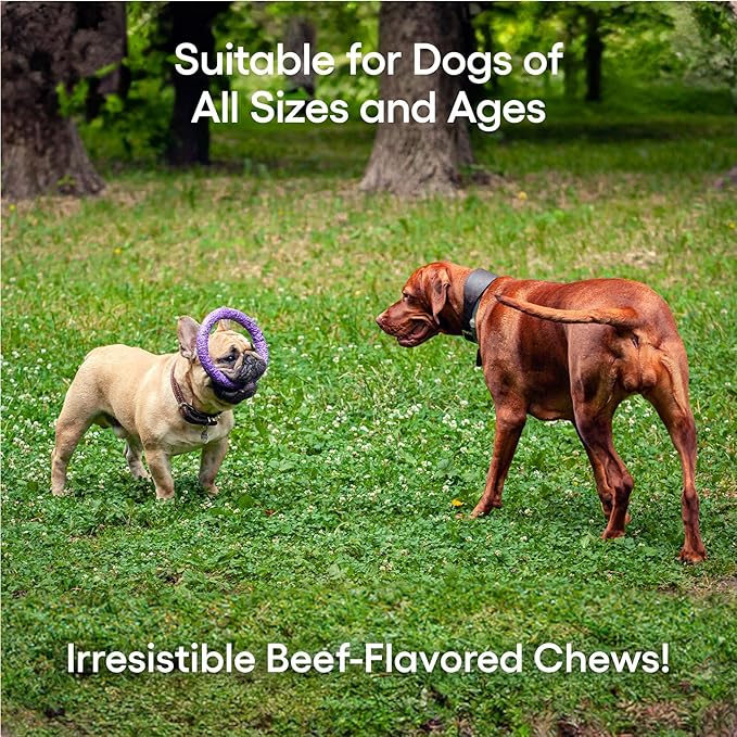 ecoNugenics PectaPaws Chewable Dog Supplements – Beef Flavor, 90 Count – PectaSol Modified Citrus Pectin + Glucosamine HCI for Dogs of All Ages, Supports Mobility, Joints, Immune Function, Pain Relief