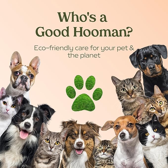 PAWFUME Dog Perfume Spray Long Lasting Scent for Grooming, Show Dog, 4-Pack Keep Your Pup Fresh All Day Hypoallergenic, Alcohol-Free, Detangling & Moisturizing Salon-Quality Dog Cologne Spray